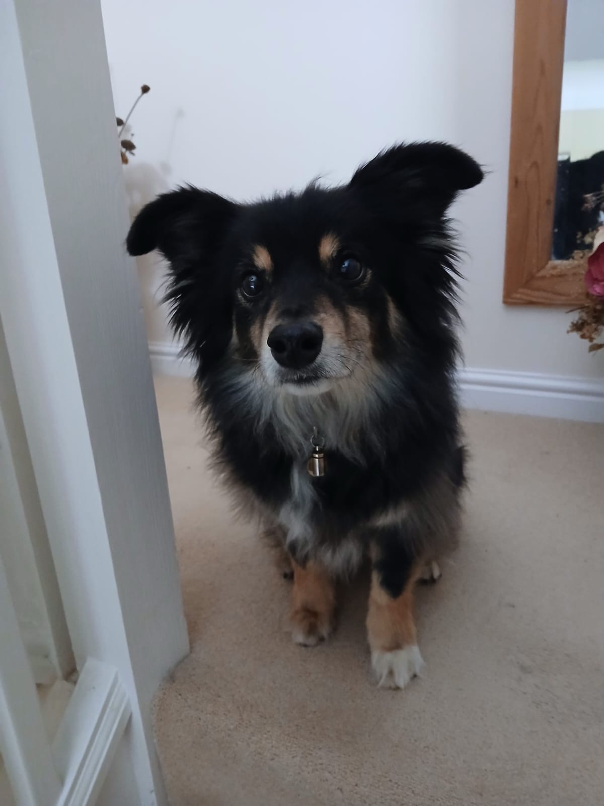 Teddy’s Story – New beginnings
